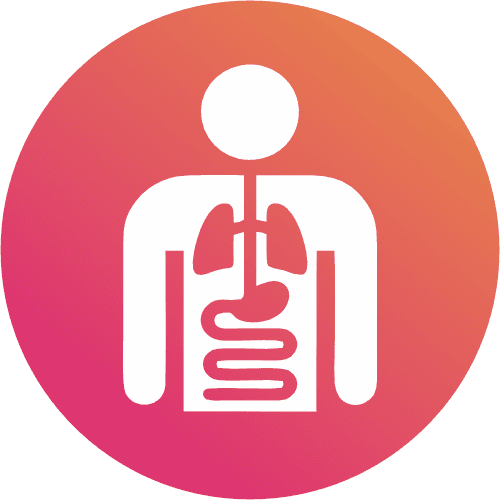 Internal Medicine