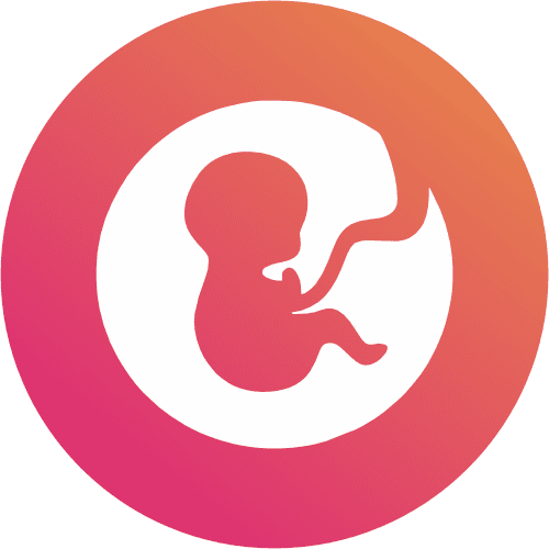 Obstetrics and Gynaecology